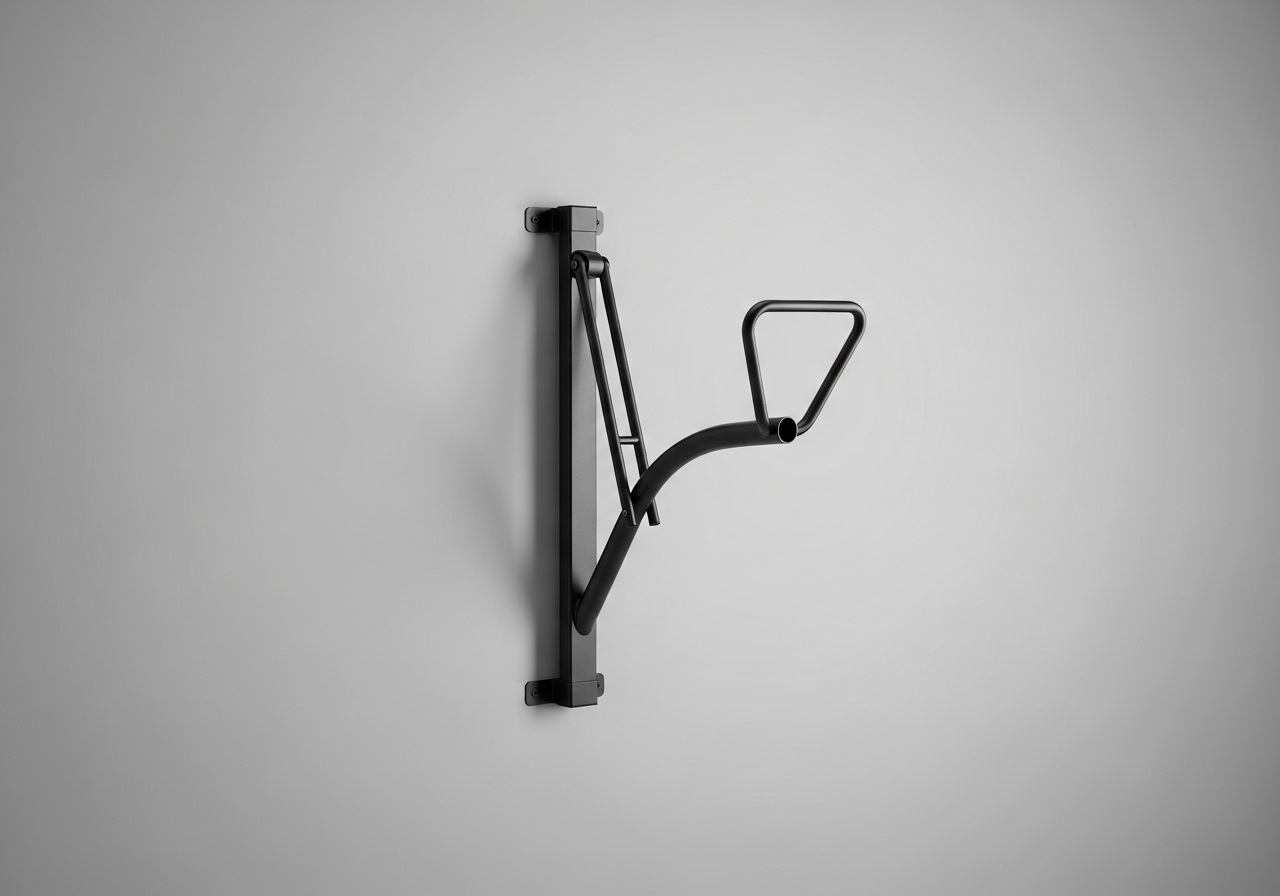 Wall storage rack